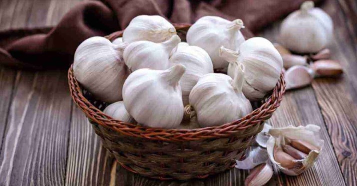 Senyawa aktif dalam bawang putih